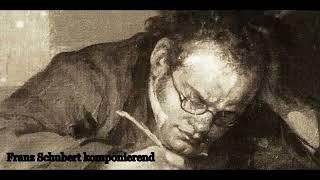 FRANZ SCHUBERT - PIANO SONATA NO. 19 IN C MINOR D 958 - BERLINZERBERUS [3]