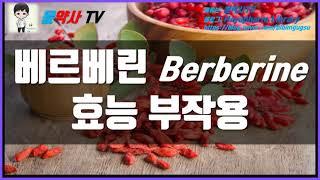베르베린 효능, 부작용 - 당뇨, 다이어트, SIBO 장 디톡스 / 아이허브 추천제품
