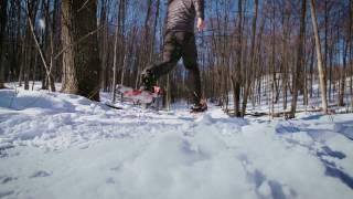 Traverse City Snowshoe Adventure!