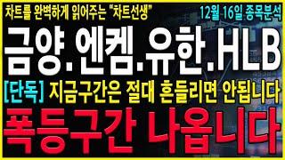 [금양 엔켐 유한양행 HLB 주가 전망] "긴급" 와...결국 "이 가격"까지는 올라가겠네요. 세력들의 확실한 전략 지금부터 준비하셔야 합니다!! #엔켐주가 #금양 #유한양행