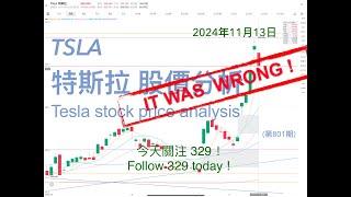 Analysis of TSLA Tesla stock price trend November 13, 2024 (Issue 801)