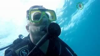 Australia 2018:  Buceo en la Gran Barrera de Coral