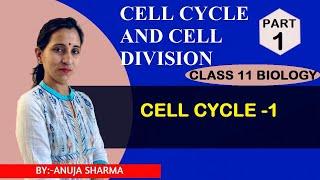 CELL CYCLE AND CELL DIVISION - CELL CYCLE - 1