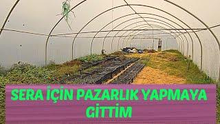 SERA İÇİN PAZARLIK YAPMAYA GİTTİM #sera #kaktus #sukulent #sera