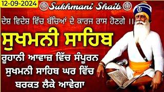 ਸੁਖਮਨੀ ਸਾਹਿਬ | Sukhmani Sahib | Sukhmani Sahib Nitnem |ਸੁਖਮਨੀ ਸਾਹਿਬ ਪਾਠ |Sukhmani Sahib Path |सुखमनी