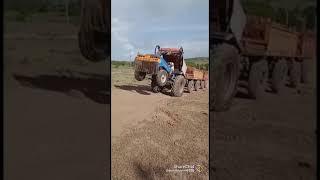 phenomenal videos