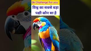 विश्व का सबसे बड़ा पक्षी कौन सा है️|Gk Question | Gk Quiz | Gk In Hindi | #gk #gkinhindi