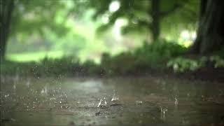 Rain Sounds   15 seconds soundtrack