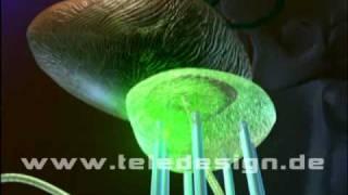 U 012 Prostatakrebs Hyperthermie  - SD PAL / U 012 prostate cancer hyperthermia  - SD PAL