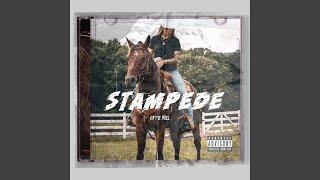 Stampede