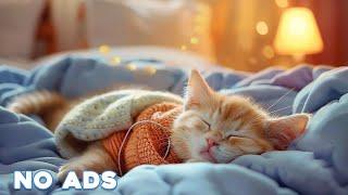 12 Hours Calming Music for Cats  Sleep Music for Cats No Ads  Sleep Music for Anxious Cats