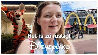 DISNEYLAND PARIS VLOG JULI 2024 | MET DE KINDEREN IN DISNEYLAND PARIS, VEEL ATTRACTIES & MCDONALDS