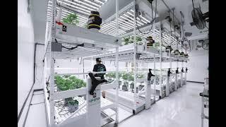 Harvest Season Made Easy with Pipp Horticulture's Mobile Vertical Grow Racks!