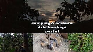 Kemping dan berburu tupai di perkebunan kopi, spot alam yang indah, part 1