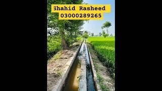 #construction Rasheed Builders construction company 03000289265 03009129265    Shahid Rasheed