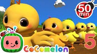 CoComelon - Ten Little Duckies | Learning Videos For Kids | Education Show For Toddlers