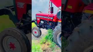 #tatar #tatarvideo #shorts #viral #massey #masseyvideo #masseylover #jat #jaat #jaat jamidar