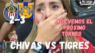 TIGRES CAMPEÓN / LA NOCHE MÁS TRISTE / GRACIAS POR TANTO REBAÑO / CATALINA CURIEL