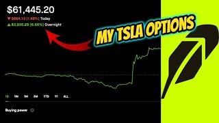 TSLA Results - Dividend and Options Portfolio | Robinhood