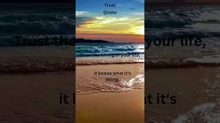 Trust the timing of your life #motivation #shorts