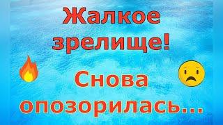 Деревенский дневник очень многодетной мамы \ Жалкое зрелище! Снова опозорилась... \ Обзор