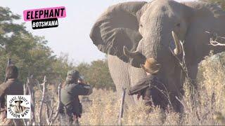 Point Blank Shot on a Huge Elephant