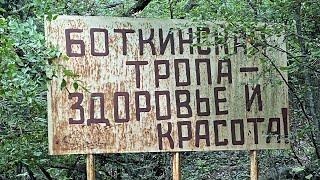 По Боткинской тропе в шлепанцах. Ай Петри снова платная. Просто дневник Константиновой.