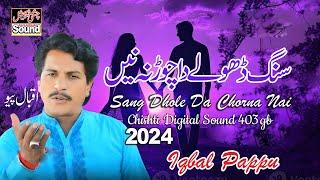 Sang Dhole Da Chorna Nai | New Saraiki Song 2024 | سنگ ڈھولے داچوڑنہ نیں | Chishti Digital Sound 403