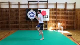 Okami Team 士道館 - online trénink Shidokan Karate Vrchlabí a Rudník #1