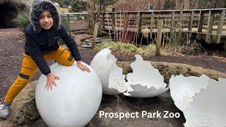 Exploring the  prospect park || Rare animals in zoo ||Lions, Ducks, Peacock|| NYC ||