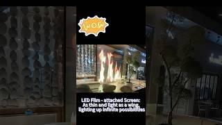 LED film screen, easy to customise the super-large wall#led #funny