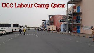 Ucc Company Qatar | Labour Camp Shahaniya Elegancia | The Times of Qatar