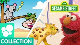 Sesame Street: Wild Animals | Elmo's World