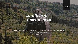 Pills of Tuscanyness - Chiesa di Santa Maria al Calcinaio (Francesco di Giorgio Martini)