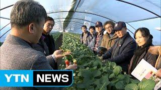 안심 영농 기술지원...'귀농정착과 귀농인 창출' / YTN