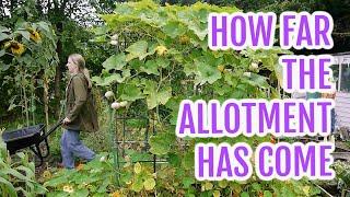 HOW FAR THE ALLOTMENT HAS COME / SEPTEMBER 2021 / EMMA'S ALLOTMENT DIARIES