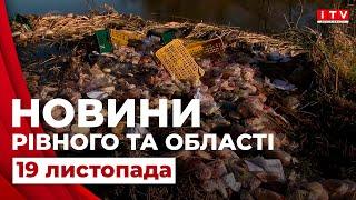 Головні події дня у Рівному та області | ITV media group