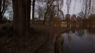 Westcott Properties | We Know Boston