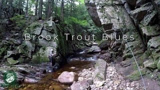 Brook Trout Blues | Fly Fishing Vermont | Ft. Downstream & Downrange