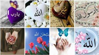 Islamic dpz collection️ || Allah Muhammad name dp images for WhatsApp || Beautiful dpz