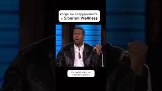 Доход в Siberian Wellness