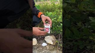 Survival Skills - Fire From Cigarette Tobacco Skills #survival #lifehack #bushcraft #ASMR #outdoors