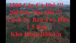 3 HA THÔN 9, ĐĂK BUK SO ,TUY ĐỨC ,ĐĂK NÔNG ..Giá 2,3 tỉ ...0936 246 709