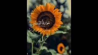 #shortvideo #beautiful Islamic video's,