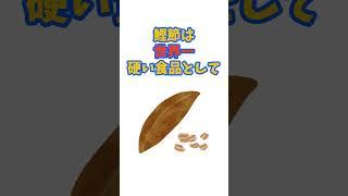 【面白い雑学】世界一硬い食品○○の雑学【豆知識】 #shorts #面白雑学と豆知識のパラダイス #鰹節