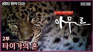 [명작다큐️] 동아시아 생명대탐사 '아무르 Amur' | 2부 타이가의 혼 (KBS 2011.04.07 방송)