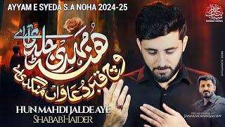 Hun Mahdi AS Jalde Aye | Ayam Syeda (SA) Noha 2024-25 | Shabab Haider | Noha 2024-25