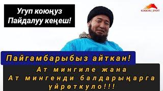 Уккула баарың! Пайгамбарыбыз айткан! Ат мингиле жана ат мингенди балдарыңарга үйрөткуло!