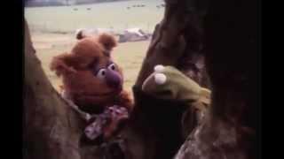 Muppet Movie 1979 camera test: The banter is so hilariously improvised.