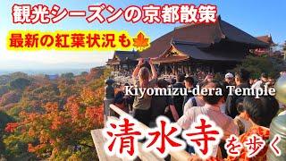 11/14(木)京都紅葉散策観光客で大盛況【世界遺産 清水寺】を歩く/最新紅葉状況/Autumn leaves at Kiyomizu-dera Temple